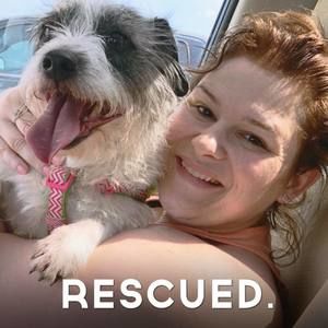 Meet your Posher, Jen